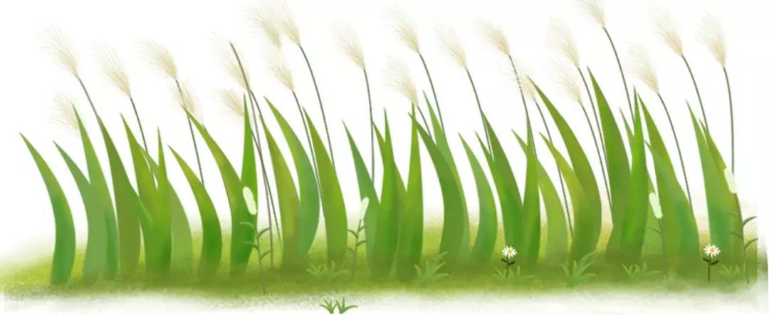 1563773479752381.jpg 凯发k8国际登录护肤品