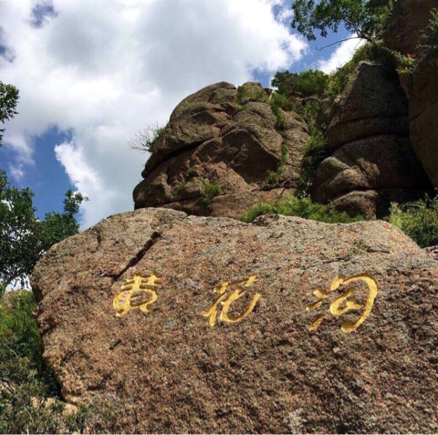 1566815270380239.png 凯发k8国际登录草原新品发布会