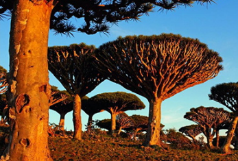 1568966568963653.png 006.png