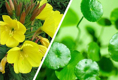 1568966623949065.png 008.png