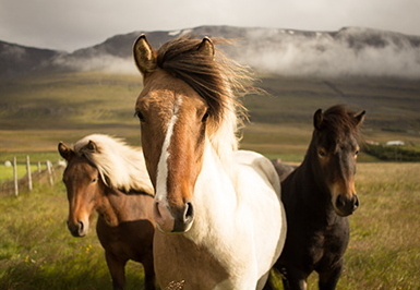 1568966650631706.png 009.png